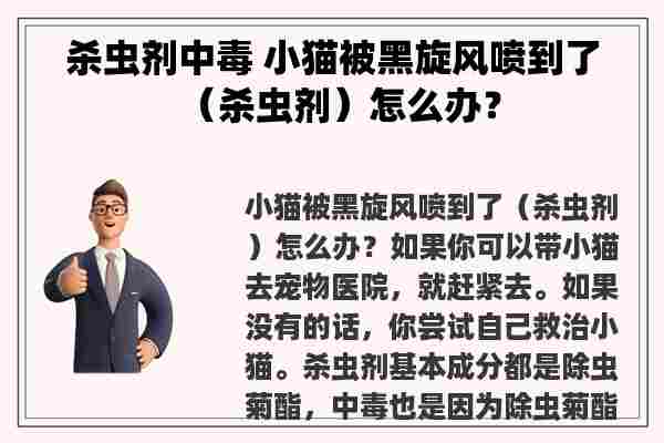 杀虫剂中毒 小猫被黑旋风喷到了（杀虫剂）怎么办？